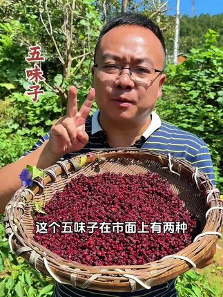 五味子是什么样的?五味真的有五种味道吗?