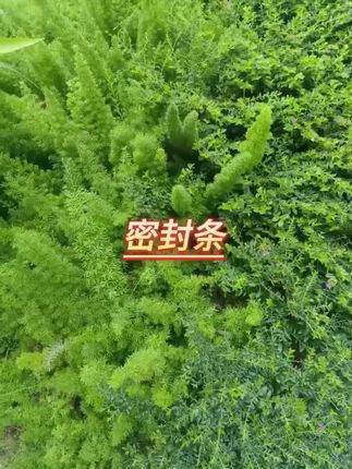 #国庆