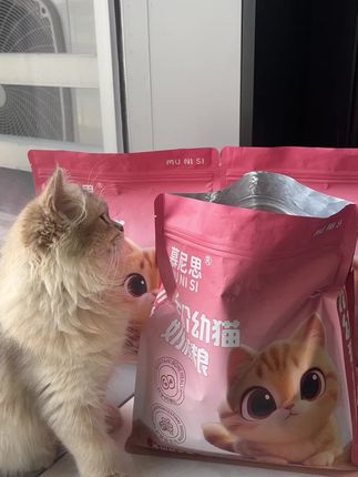 慕尼思幼猫专用粮