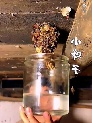 这么好用的卸妆膏你确定不来看看吗! #Za双色卸妆膏 #卸妆膏推荐 #卸妆膏种草 #毛孔粗大 #黑头闭口
