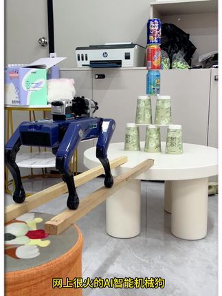太好玩了我要给我孩子安排上