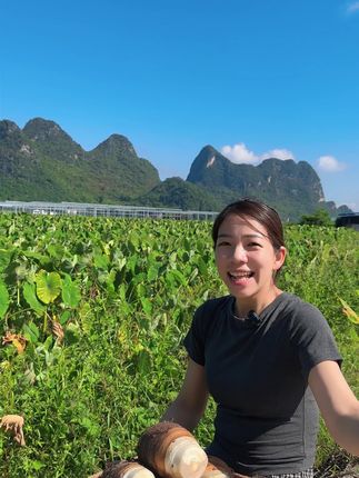 豁出去了,不管别人怎么卖,我就这么卖,我家荔浦芋头丰收了,每个都是香软粉糯,想吃的快来尝尝看吧!