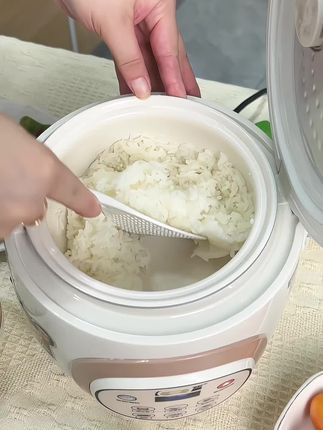 上班族福音!半球陶瓷釉电饭煲 24H 预约 下班就吃热米饭 抖店秒发