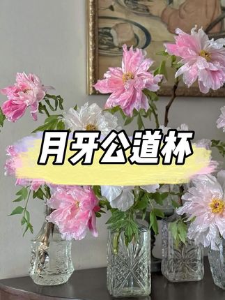 耐高温玻璃泡茶壶绿茶泡茶器月牙过滤一体公杯耐热分茶器公道杯