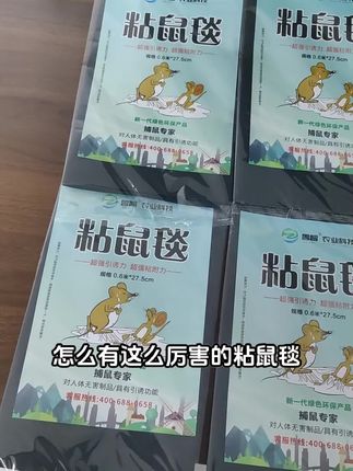 餐馆店铺粘老鼠捕鼠就用这款大尺寸粘鼠板#粘鼠板#老鼠贴#捕鼠#粘鼠板#老鼠贴#捕鼠#抓老鼠