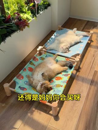 狗狗猫咪睡在上边都不愿意下来了#宠物行军床#宠物狗窝