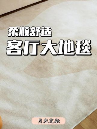 客厅软装,加密加厚仿的羊绒地毯,不惧怕水渍污渍# 地毯 # 地垫 # 客厅地毯 # 软装地毯