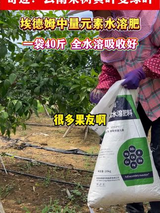埃德姆中量元素水溶肥螯合态硼锌铁全水溶黄化复绿膨果保果氨基酸#中微量元素水溶肥 #果树种植 #柑橘种植