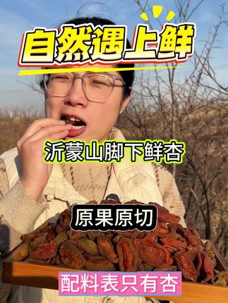 18斤鲜杏出一斤的杏干,最原汁原味,不酸你找我
