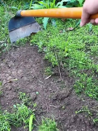 【锰钢加厚】锰钢挖地草锄农用长柄锄草利器锄地除草锄头适用