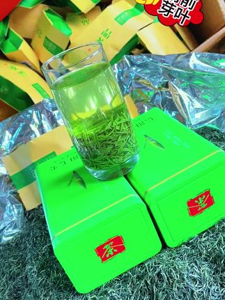正宗信阳毛尖,没有一种你喝过的好茶!#2025新茶#新茶上市#信阳毛尖#绿茶#茶叶#芽叶#高山茶