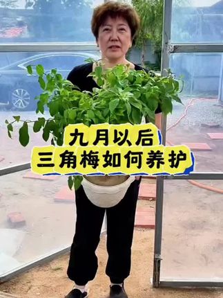 植物不开花,你就给它用这个水,很快枝繁叶茂花满盘!