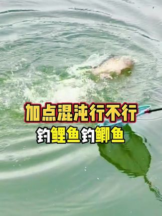 免费提供试用装,各种水域通用,鱼获翻倍