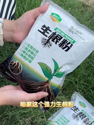 强力生根粉