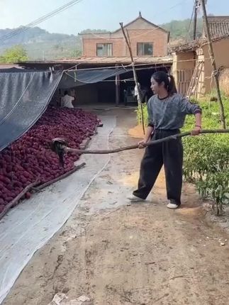 整箱5斤正宗甘肃天水花牛苹果脆粉两吃当季新鲜水果红蛇果
