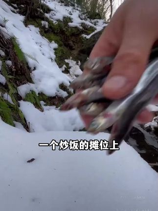 这才是孩子爱看的书,《少年智谋天下》教会孩子用谋略思维解决生活中的问题,提高孩子的情商和眼界#强者思维 #育儿