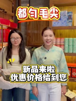 都匀螺丝壳核心产区,头采芽头,新鲜采摘,好吃不贵!全国包邮