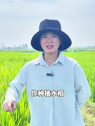 植物油 / 有机硅 / 卵磷脂挑花眼?选 “极增” 就对 #助剂 #助农扶农 #药效持久 #中海精选