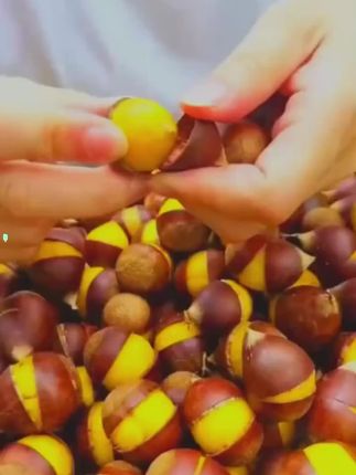正宗丹东大板栗 新鲜板栗 粉面香甜#好吃不贵经济实惠