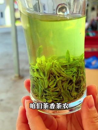 你见过口感醇厚,浓香耐泡雨前大山芽叶茶吗?#好喝不贵#召唤茶友#绿茶#春茶采摘#2025新茶#新茶上市