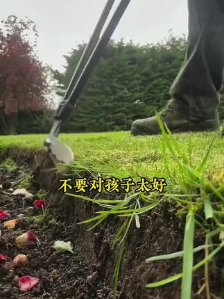 孩子的成长过程,都应该有本生命里的第一课,实例分析孩子实际问题,给出解决方案正面引导孩子#父母课堂#育儿