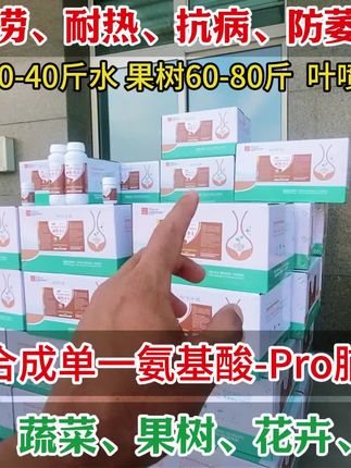 脯氨酸知识 100 问之 —— 脯氨酸喷在叶子背面还是正面? 叶子背面和正面不一样,喷在哪面,作物吸收得更好?
