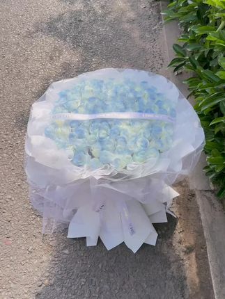 【网红爆款】99朵红玫瑰粉玫瑰香槟玫瑰白玫瑰女友生日小时达