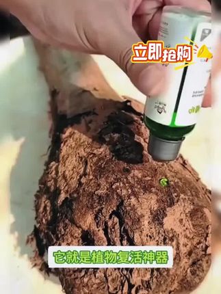 万能“营养 液”,烂根、黄叶别再愁!只需一瓶营养 液,轻松解决