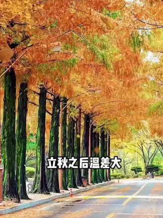 仓鼠保暖纸棉 赶紧囤!#养鼠日常分享 #仓鼠用品 #仓鼠纸棉 #仓鼠垫料 #鼠鼠我呀