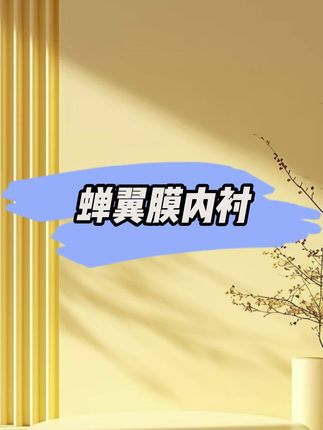新品蝉翼膜防水内衬纸鲜花花束包装纸纯色花艺材料哑光雾面纸