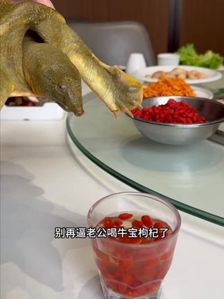 喝起来满口都是馥郁的桑葚果香,满满的花青素,酸酸甜甜的#仙女都在喝什么 #桑葚汁 #口感非常好 #夏日饮品 #我超好喝