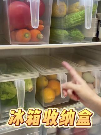 日式冰箱收纳盒抽屉式冰箱侧门收纳盒厨房鸡蛋盒食物冷冻保鲜盒子