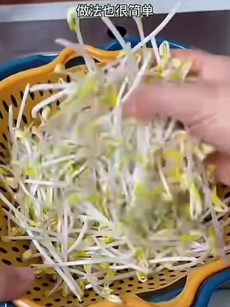 豆芽盒,每天换一次水4天就可以吃豆芽了,自己发的既简单又有趣,#自发绿豆芽 #水培芽苗菜 #豆芽