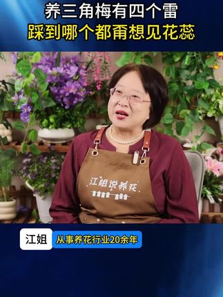 养花 花不开,那就喂点开花粉,很快就会冒花苞 #养花小知识 #爱生活爱养花