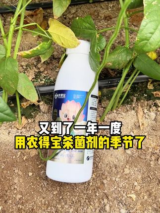 农得宝抗重茬菌肥,瓜果蔬菜想高产?用它就对了!