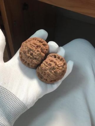 麒麟纹王勇官帽核桃50mm以上文玩核桃男士盘玩手把件原皮原色收藏四座楼文玩核桃