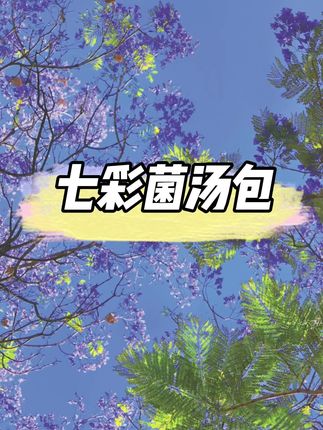 秋天来了,一定要给家里人安排这菌菇汤! 可以煲鸡汤,排骨汤,鸽子汤,猪肚汤…做法简单,汤鲜味美,营养又好喝