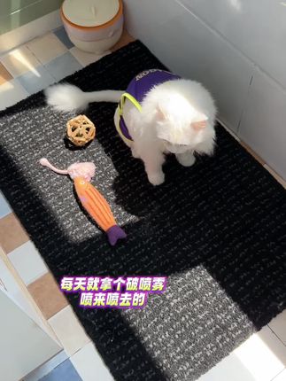 宠味喜净味喷雾,从根源分解臭味,家里猫咪狗狗乱尿,需要祛除尿味的一定要用他#除 臭喷雾 #狗乱尿尿#猫咪乱尿怎么办