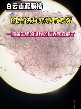 大数据它懂你的小心思,脸油有黑头粉刺痘痘和毛孔粗大的宝子赶快行动起来!皮肤好了颜值蹭蹭往上涨!#白云山#好物推荐