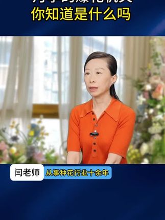 养月季头一步做不对,修剪浇水再勤快都白费!#月季 #月季养护 #月季玫瑰