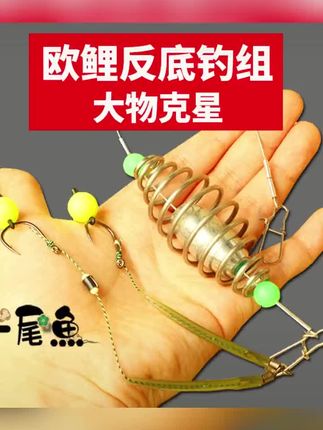 双欧鲤钓法,专钓水底大鲤鱼大草鱼。#钓鱼技巧 #户外钓鱼 #欧鲤钓