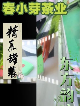 贵州毛尖绿茶2025新茶正宗明前春茶嫩芽花果香浓香耐泡型茶叶散装