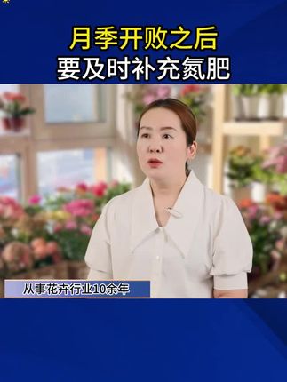 长寿花只长叶不开花那是你少做了这一步 #爱生活爱养花