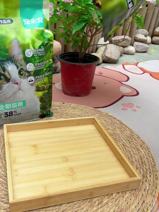 宠物店打死都不告诉的猫粮秘闻,刷到就不要错过,现在新品冲销量活动力度特别大全期全价猫粮,一款你买了会回购的猫粮