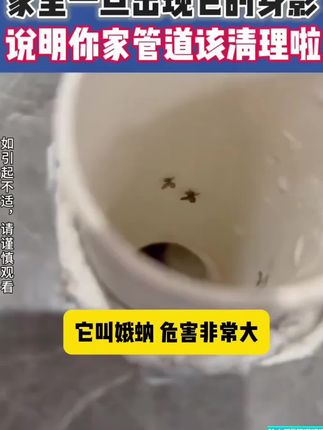家里有小飞虫,地漏,洗菜池下水慢堵塞的,赶紧试试#除虫卵泡泡粉,好用不贵,再也不用花钱请疏通师傅了!