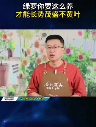 绿萝黄叶落叶还烂根,那就给他浇这种水,枝繁叶茂,叶子绿油油!