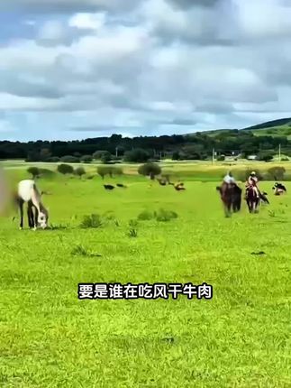 内蒙赤峰草原手撕牛肉干,外干里嫩,老人也能嚼的牛肉干#哎呀妈呀太香了 #牛肉干