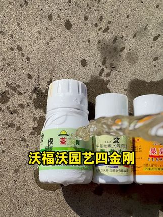 生根靠它长,防病害靠它清,甜果靠它亮,膨果靠它大 —— 园艺四件套,省心出好果!