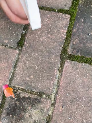 家里卫生间顽固污渍不好去除的,试试这个#草酸清洁剂,家里各种顽固污渍轻松去除!#污渍轻松去除