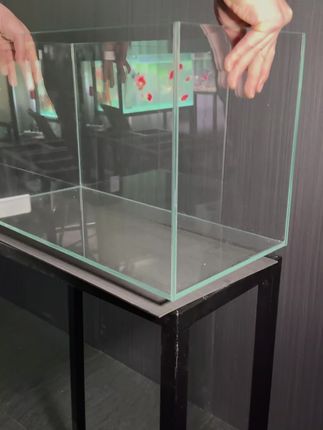 谁懂啊!金晶超白玻璃鱼缸,把“小海洋”搬进家,治愈又好看。